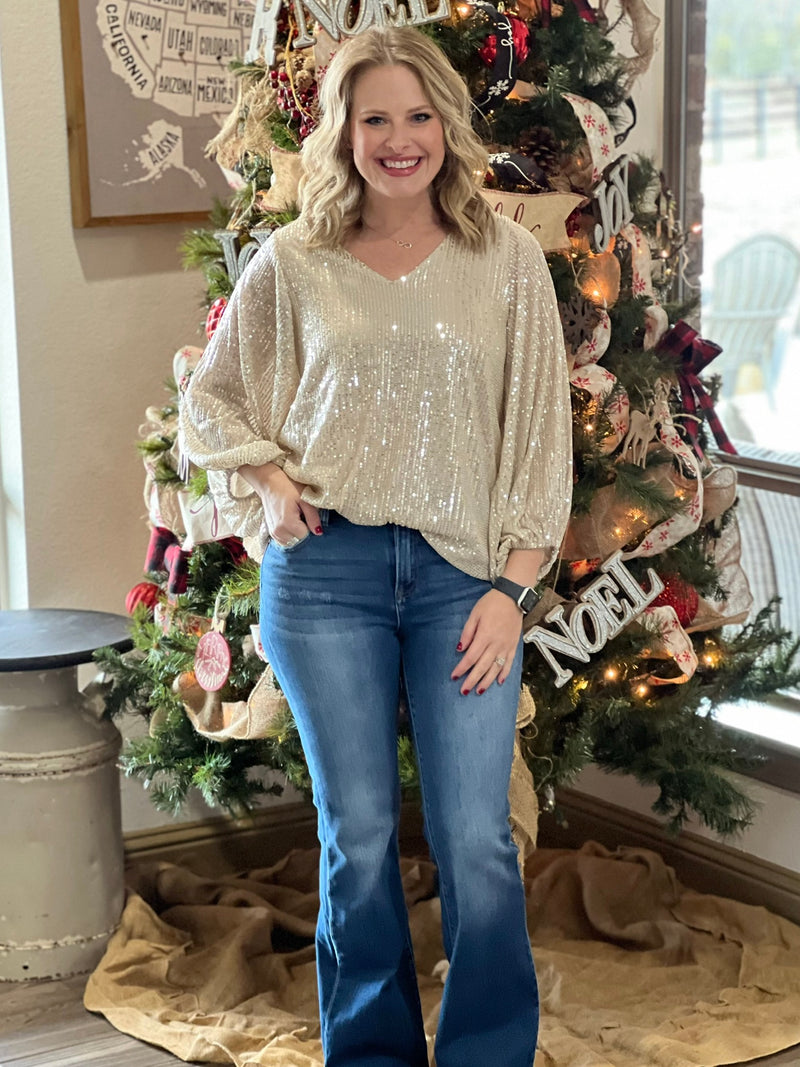 Taupe VNeck Balloon Sleeve Sequin Top