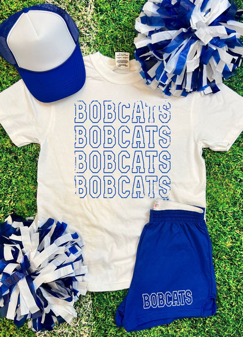 Bobcats Block Letter Spirit Set